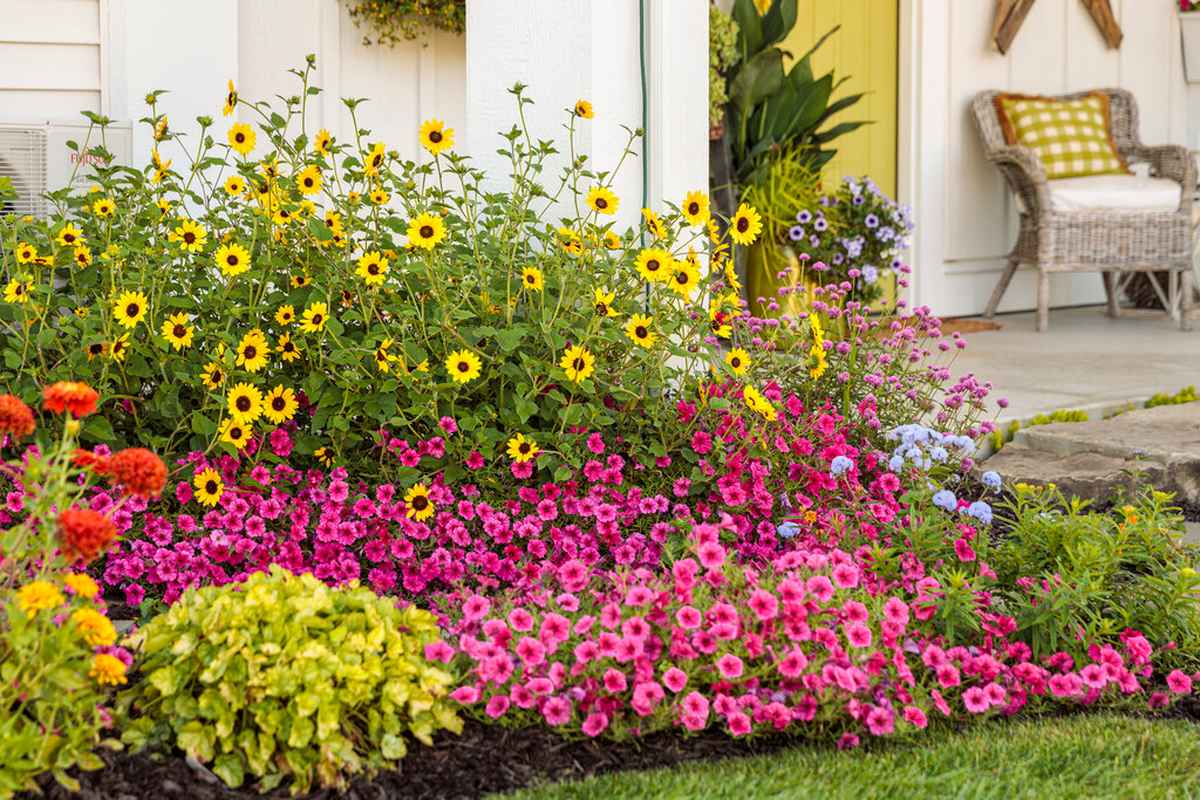 Colorful Flower Garden Ideas to Choose From