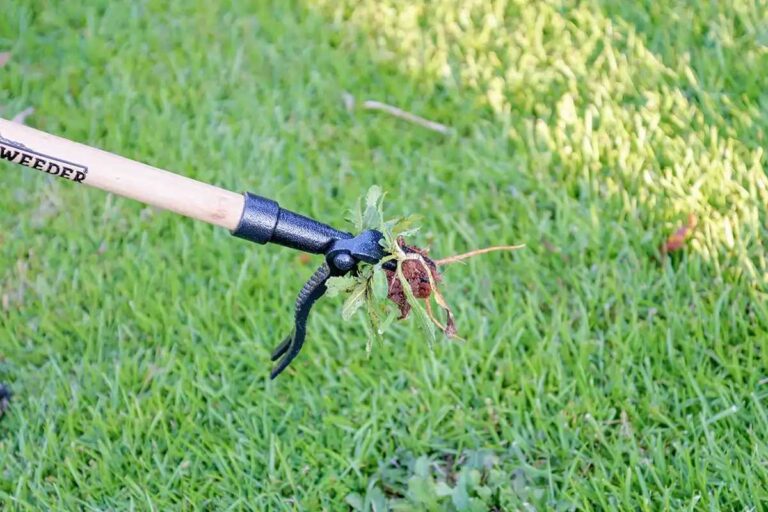 Weeding Sharp Tool The Best Weeding Tool - Creative Nesting